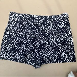 Loft polka dots shorts with matching belt/12